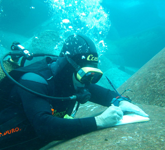 Underwater Inspections