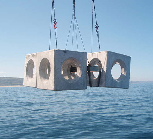 Artificial Reefs