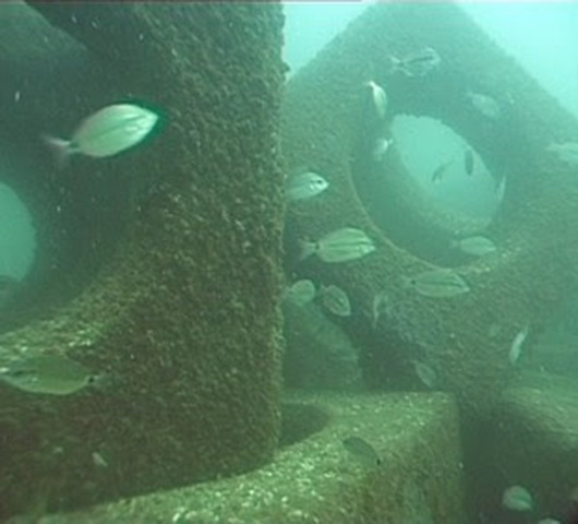 Artificial Reefs