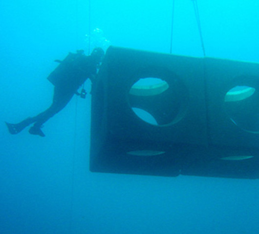 Artificial Reefs