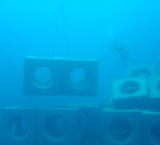 Artificial Reefs